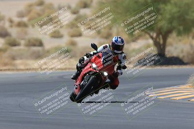 media/May-14-2023-SoCal Trackdays (Sun) [[024eb53b40]]/Turn 5 Tree of Life (1125am)/